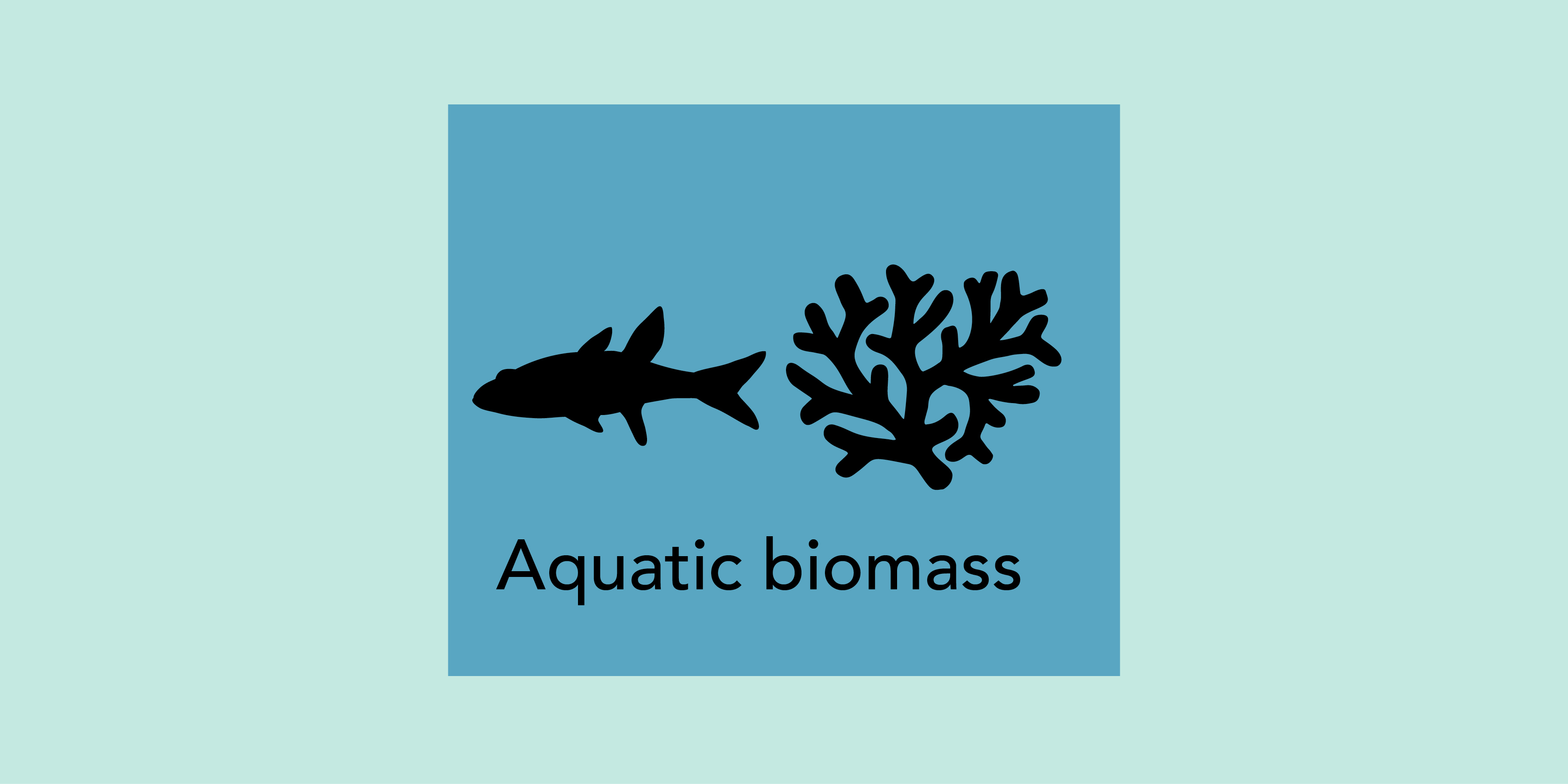 Symbolic image Aquatic animals and plants