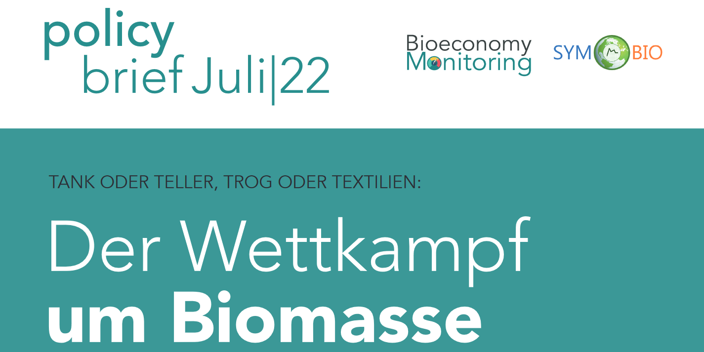 Dekoratives Bild Policy brief 07/2022