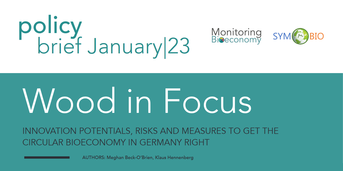 Dekoratives Bild Policy brief 01/2023