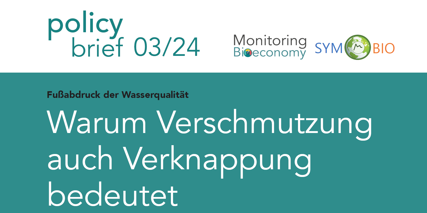 Dekoratives Bild Policy brief 03/2024